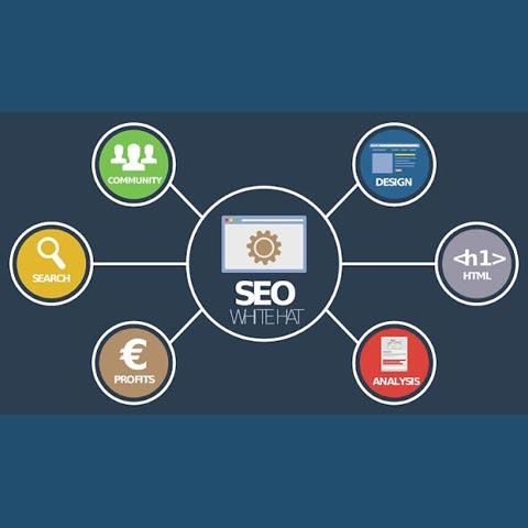 سئو وب سایت کد 14610 سایز 125053