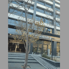 دفتر اسناد رسمی 103 کرج کد 21117،سئو و بهینه سازی وب سایت کد 60473